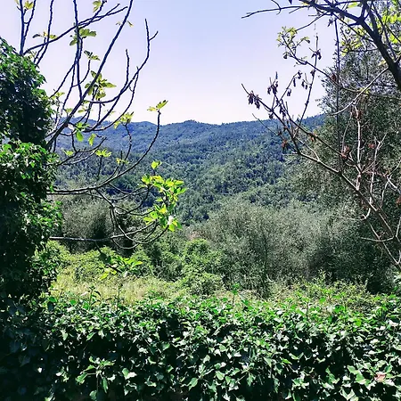 La Scala Di Ba